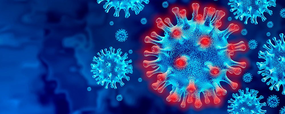 Coronavirus Information Hub Coronavirus Information Hub